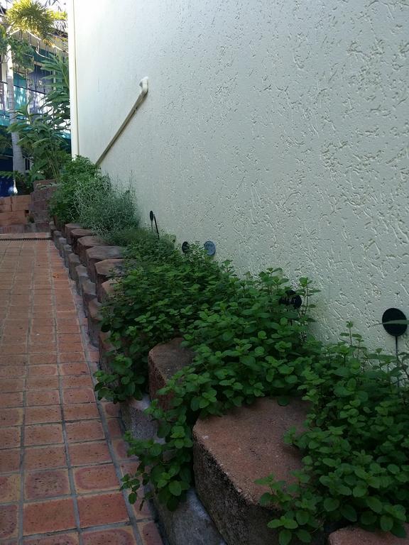 Reef Lodge Backpackers Townsville Exterior photo